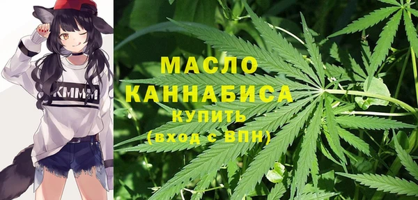 крисы Армянск