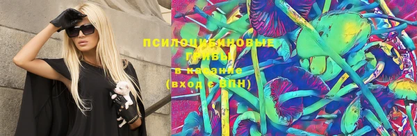 крисы Армянск