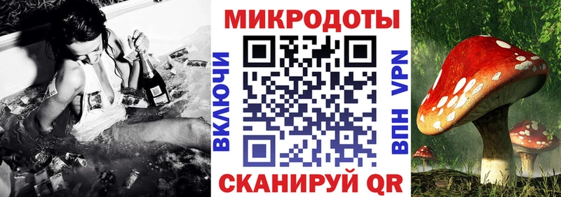 дарк нет клад Усмань Псилоцибиновые грибы Psilocybine cubensis где купить наркоту